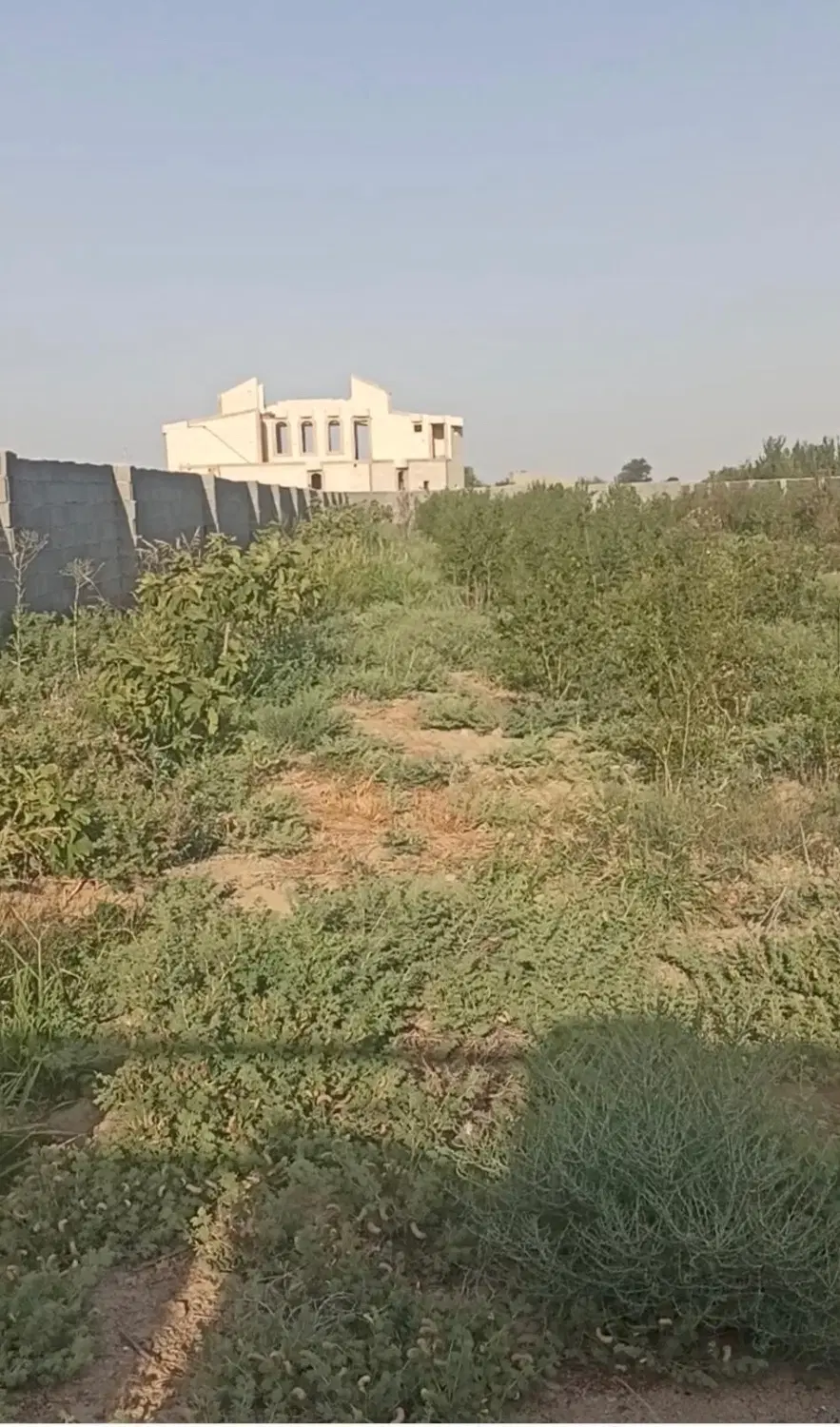 باغ سه بحر