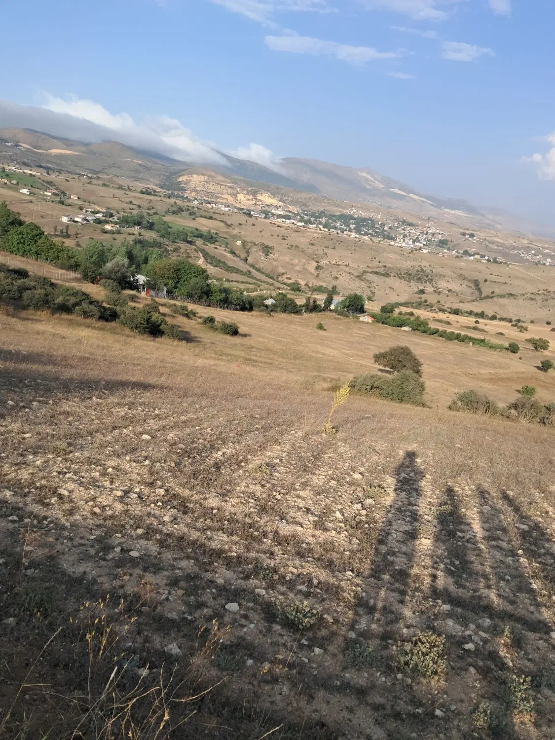 فروش زمین کشاورزی