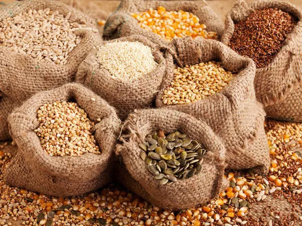 اجاره زمین کشاورزی (نخود)