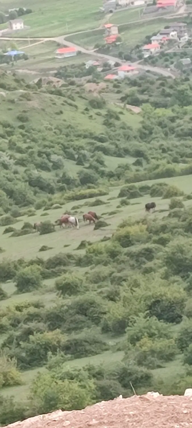 ۷۵۰ متر زمین مسکونی
