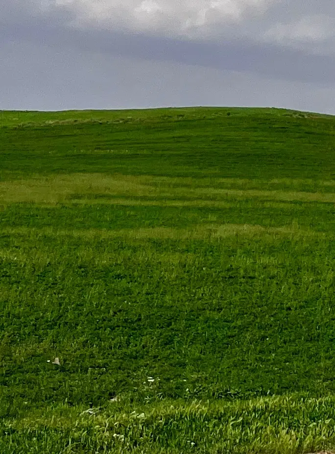 زمین در روستای حاجی اباد بایتمبر