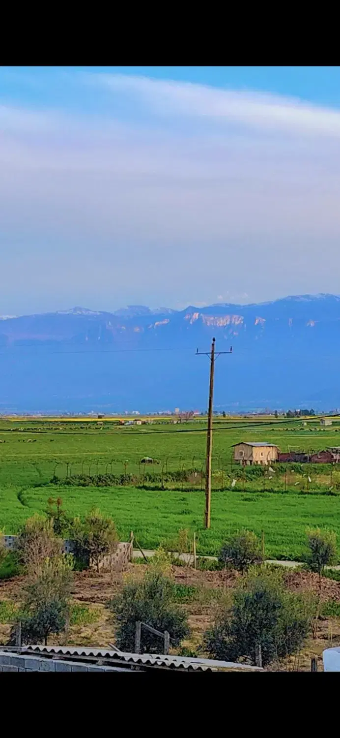 زمین کشاورزی