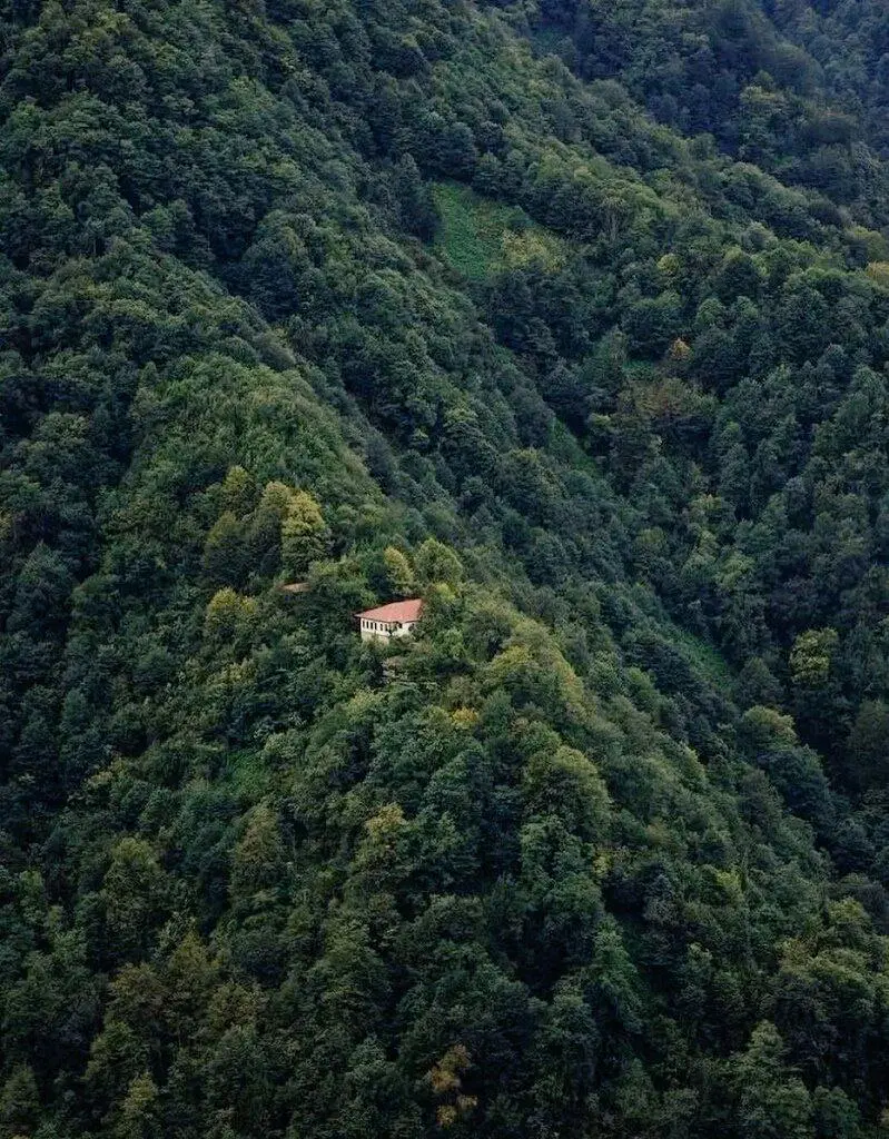 همخونه