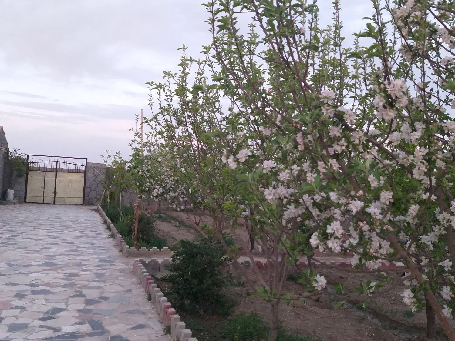 اجاره‌مغازه‌.خ‌فروغی