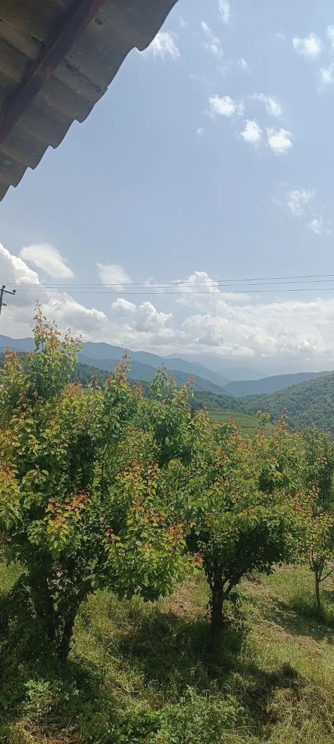 خونه باغ و زمین در روستای ازنی