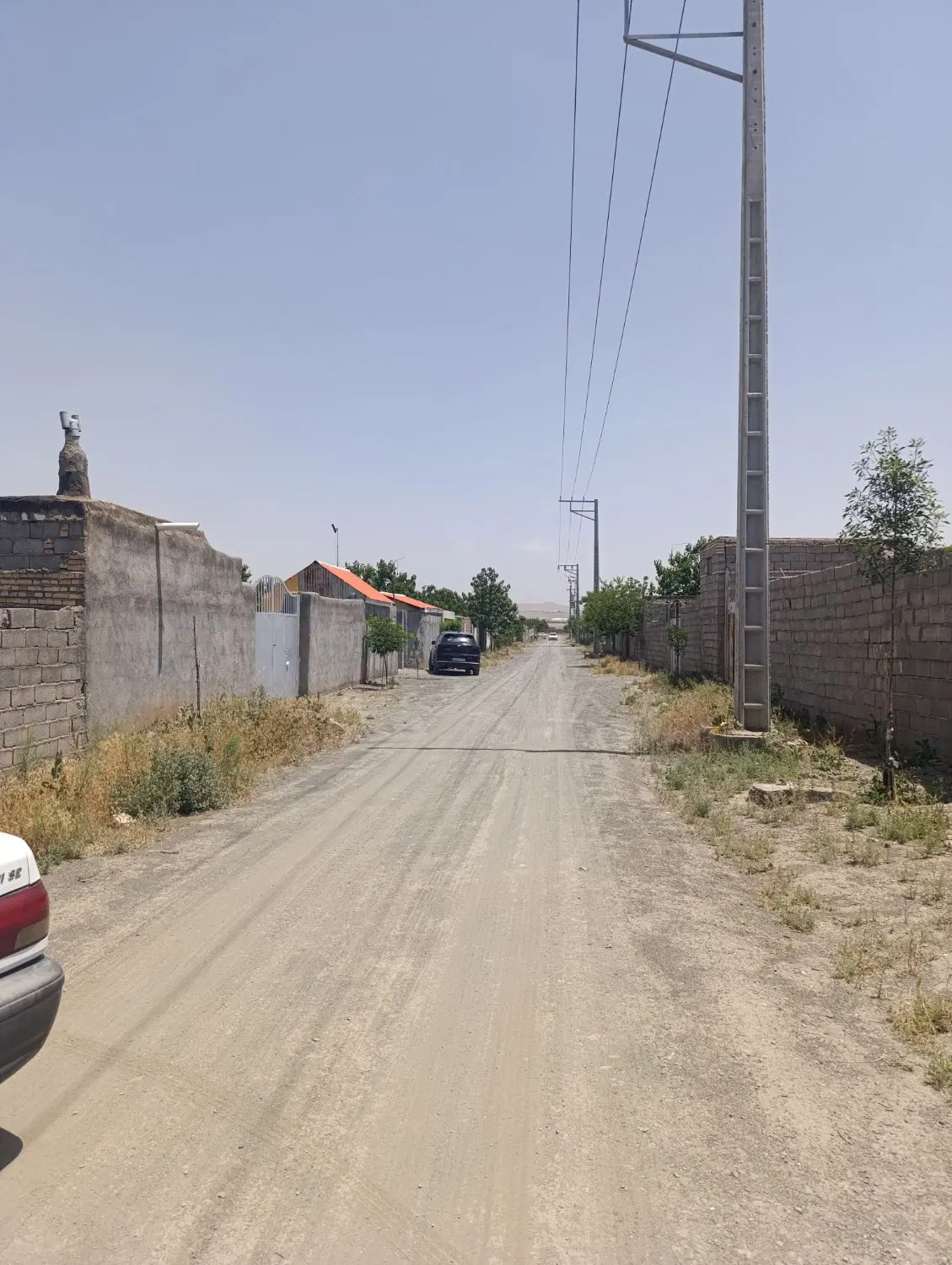 باغ پر از میوه جای دنج