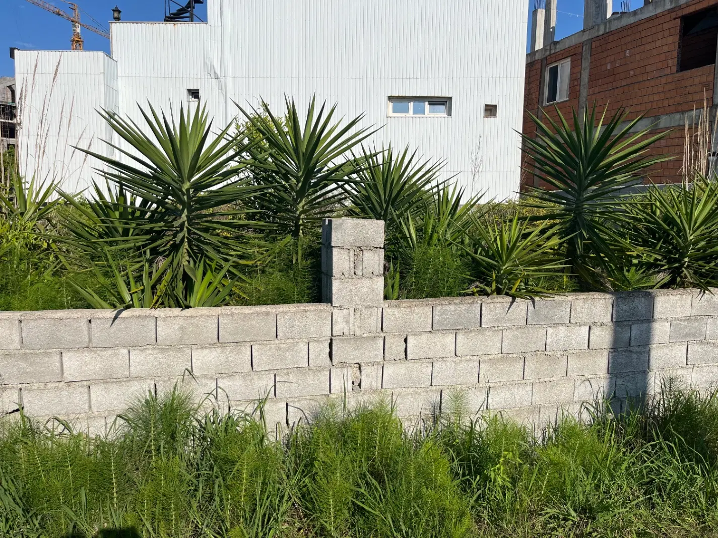 زمین ساحلی سنددار جوازدار