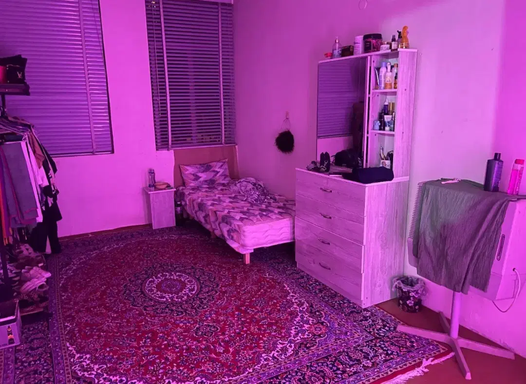 همخونه