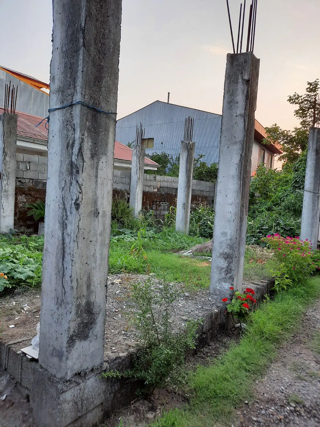 زمین مسکونی ۷۰ متری بندر انزلی طالب اباد