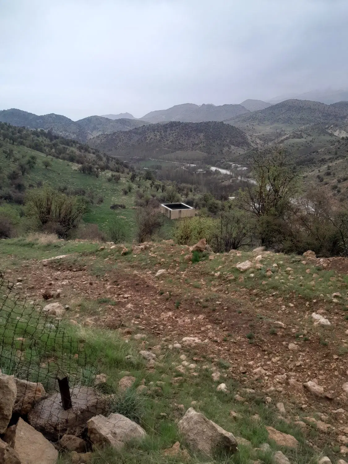 زمین تجاری