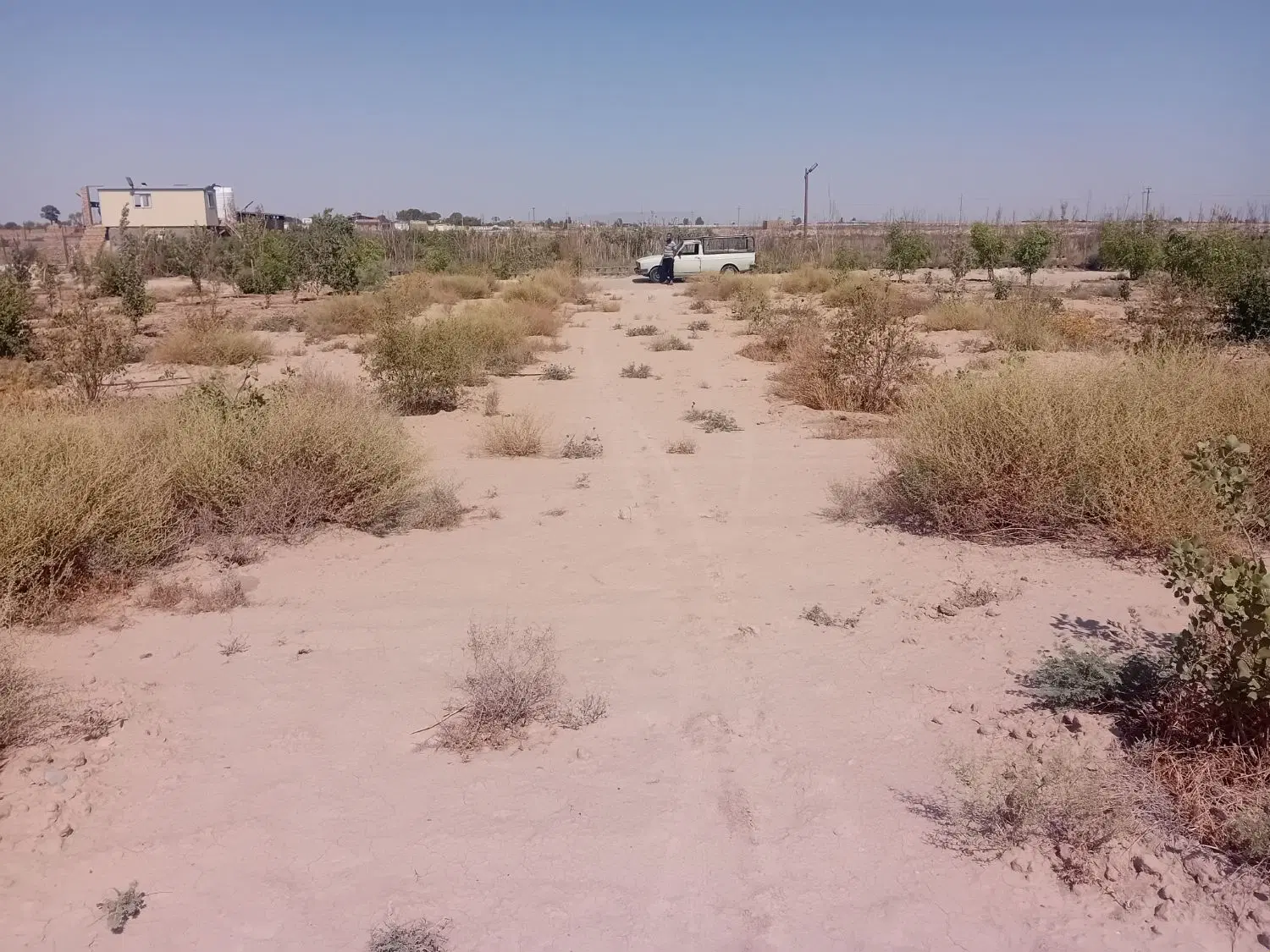 زمین باغچه ای