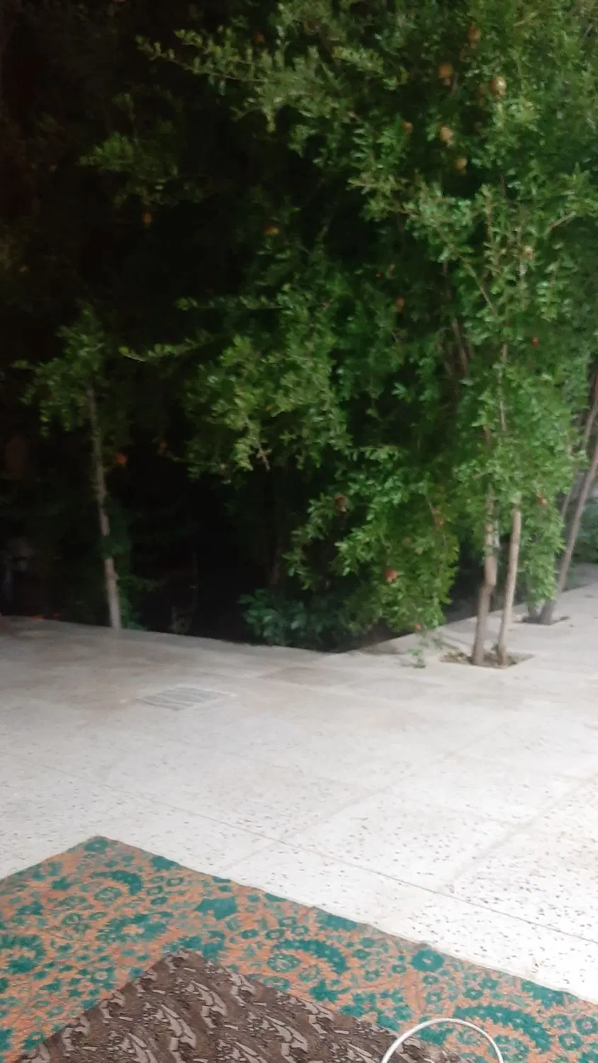 رهن و اجاره خانه ویلایی
