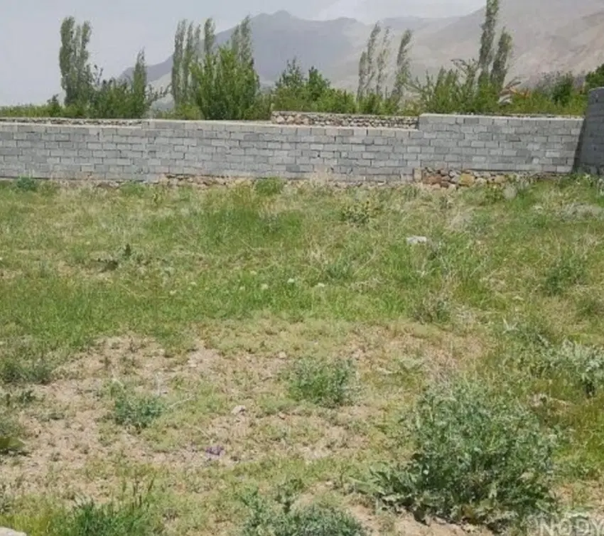 زمین