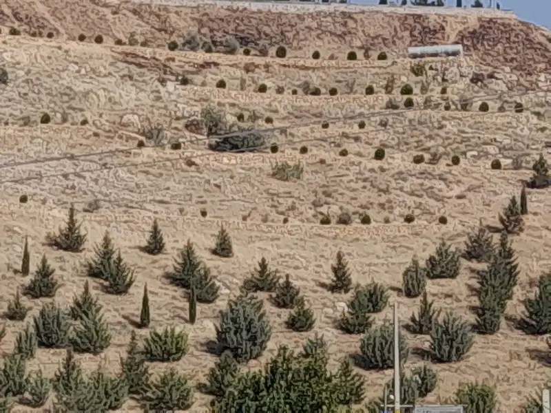 زمین فروشی ملکی