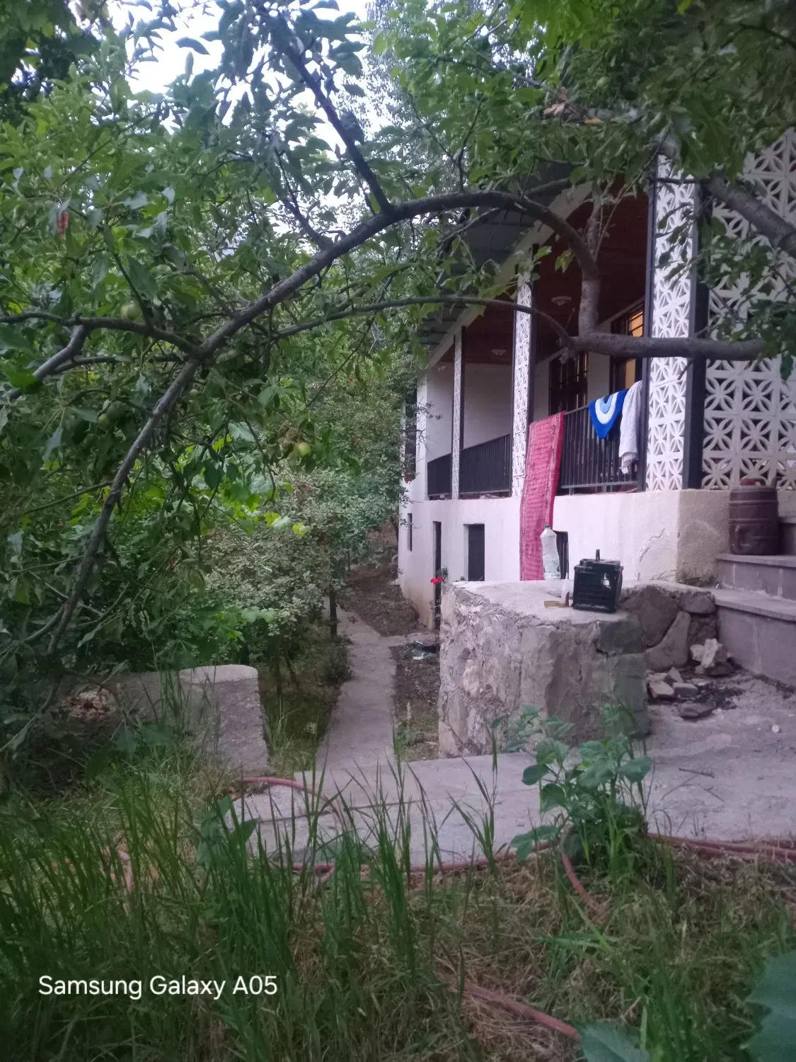 دوقطعه زمین در روستای سرسبز وتوریستی نیاک