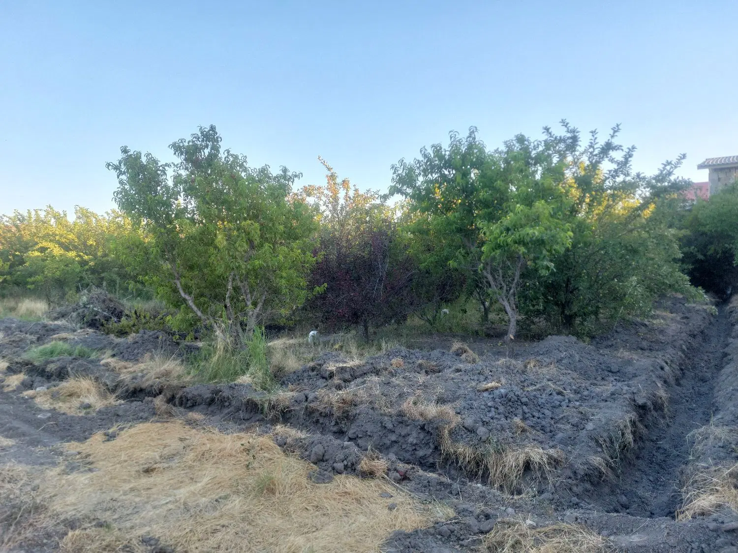زمین ۹۰۰ متر جاده سنتو روستای شاهین آباد