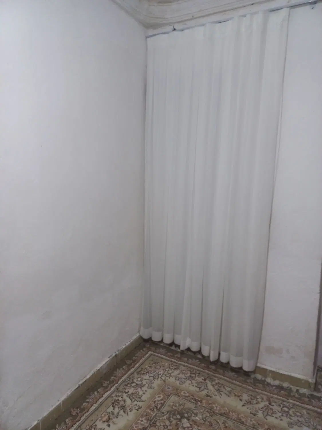 اجاره ویلایی یک خوابه در نخل ناخدا