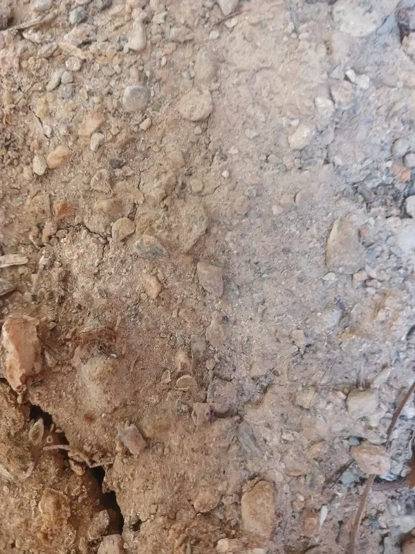 فروش زمین