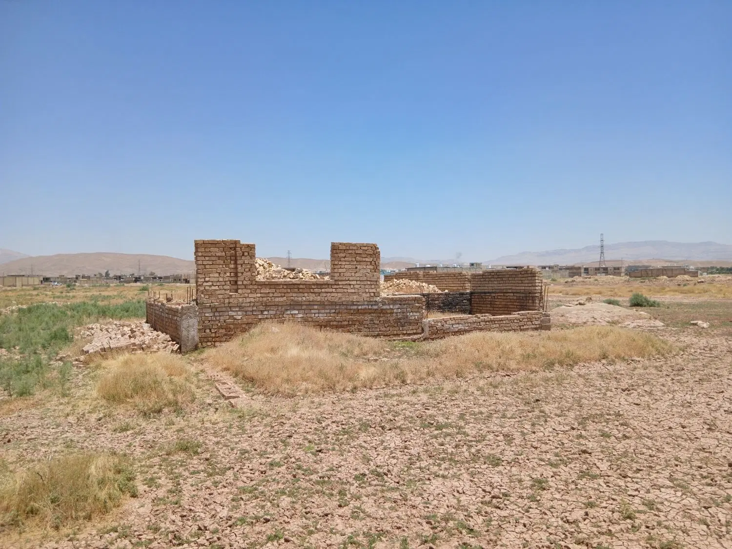 زمین مسنی کرونی