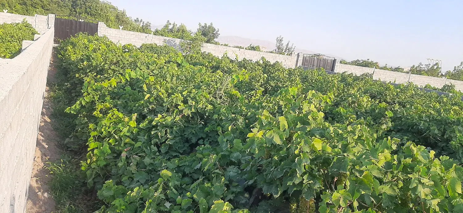باغ ویلایی