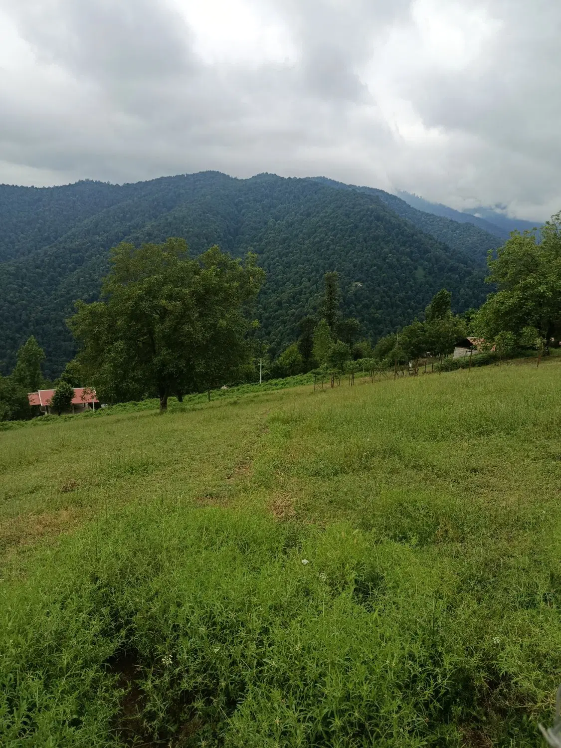 زمین مسکونی