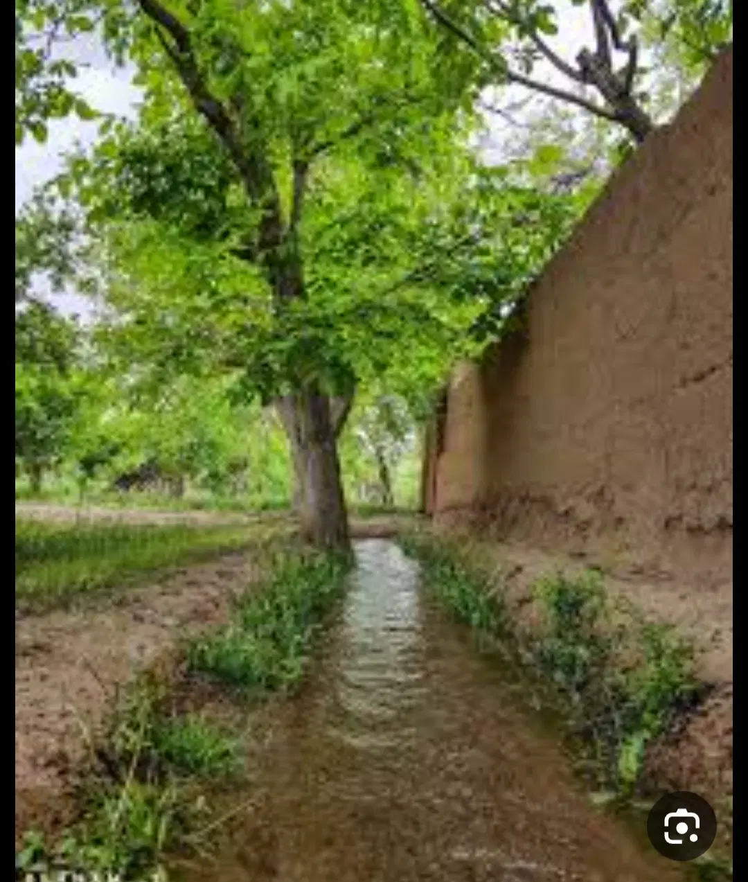 زمین ۴دیواری ویلایی ساحلی خوش نقشه با مدارک کامل