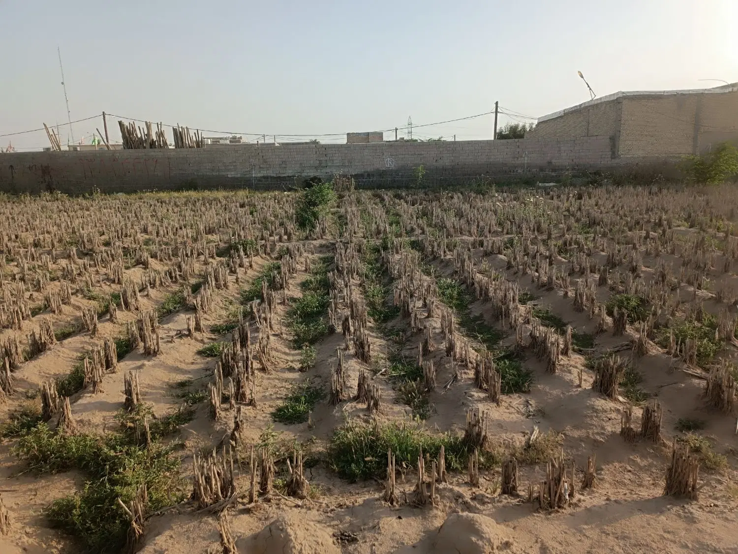 زمین مسکونی
