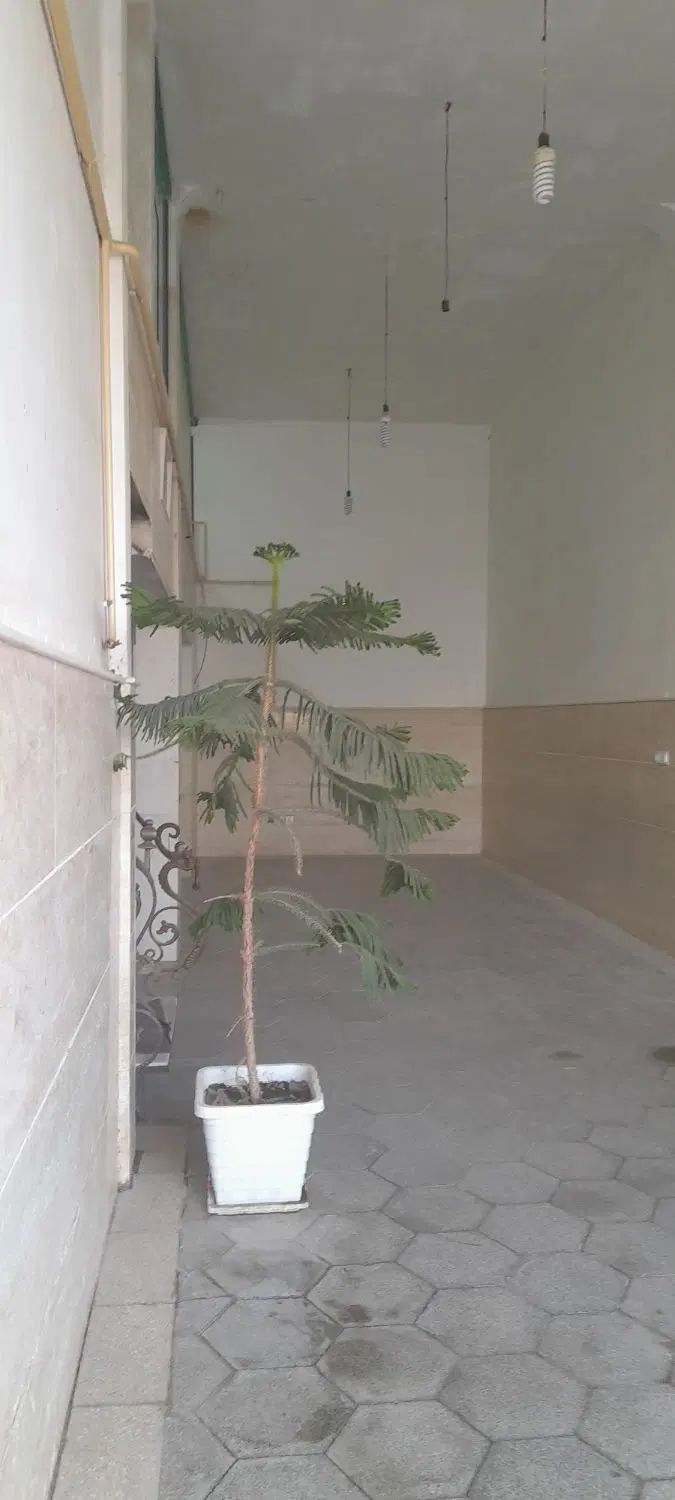 رهن واجاره مغازه در آشتیان