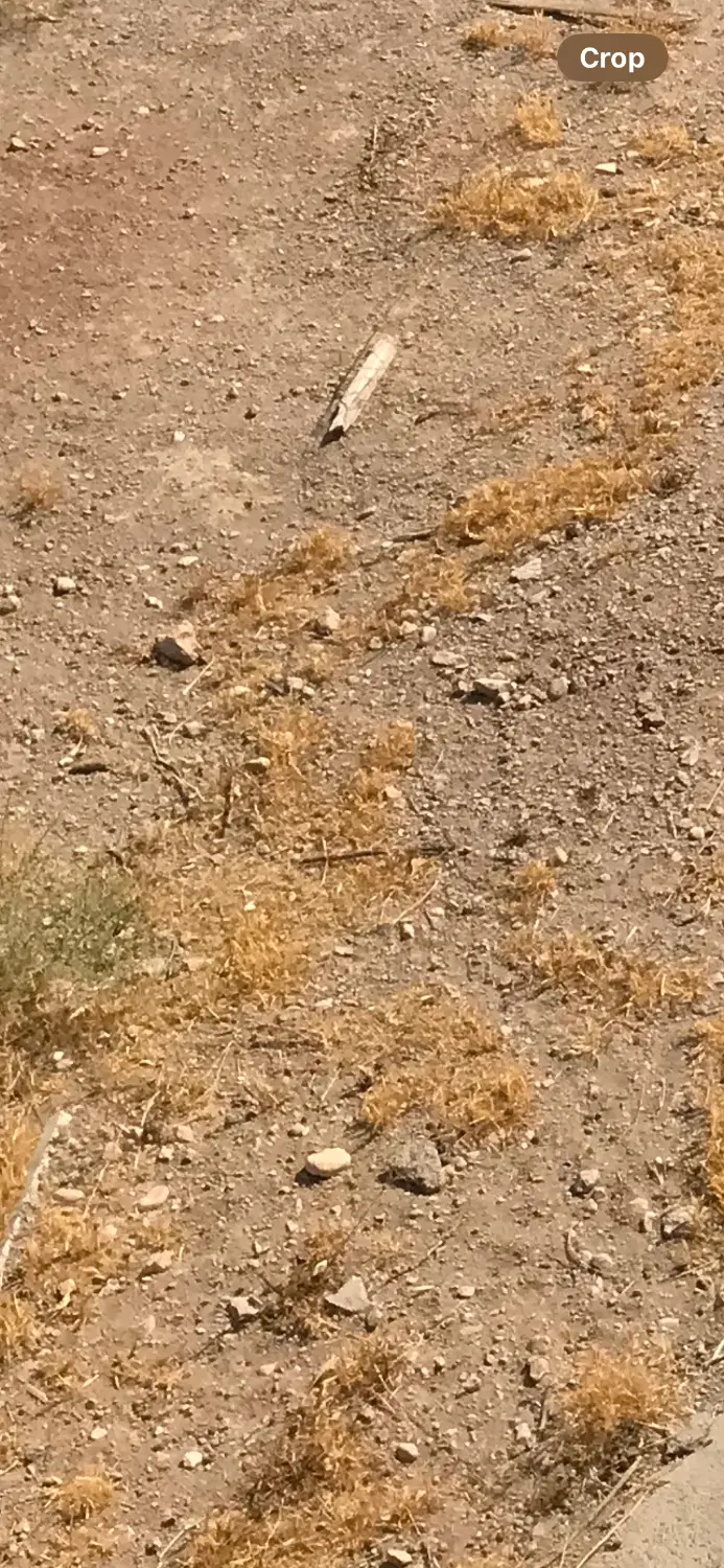 زمین با سند و پروانه ساخت