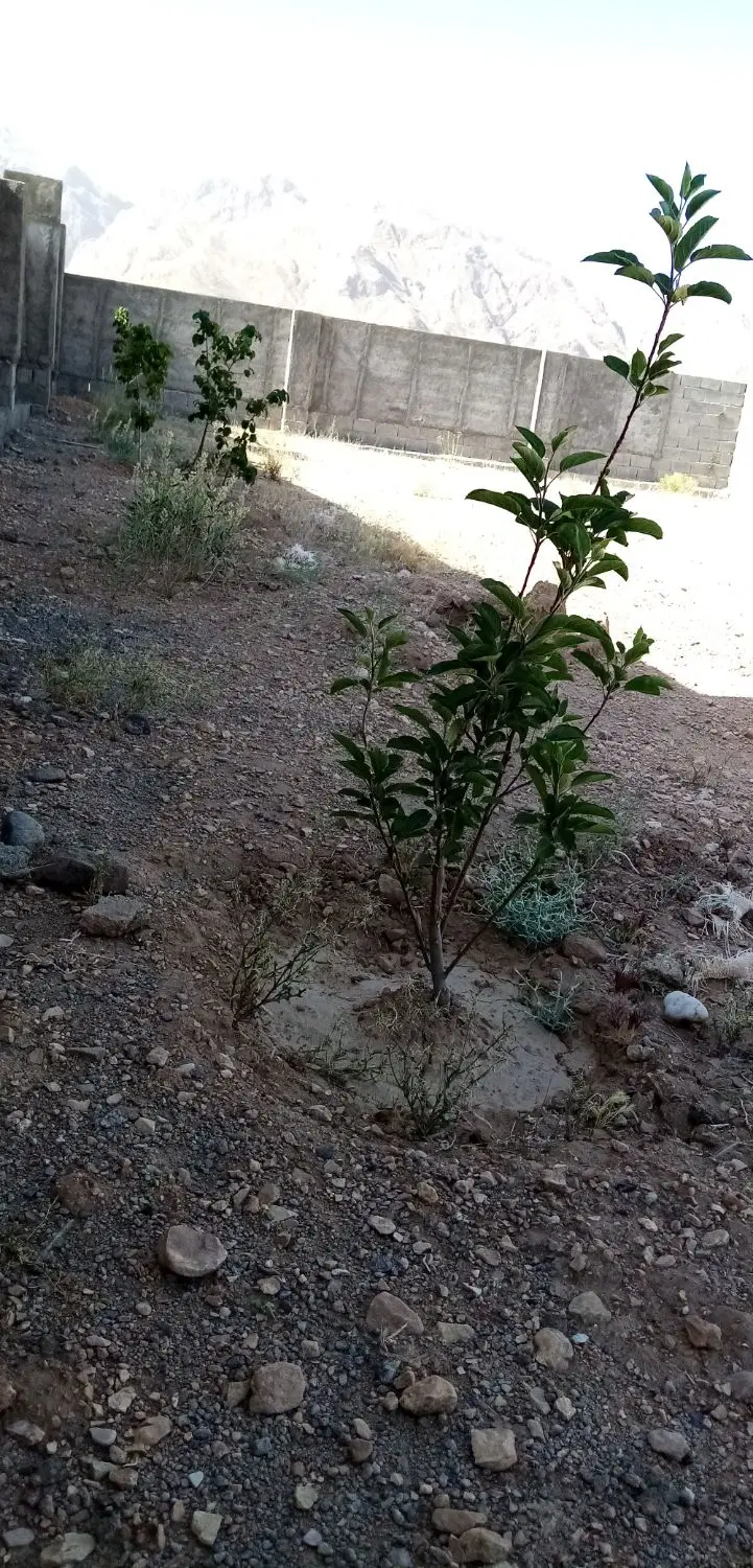 زمین جوپارستان موقعیت عالی