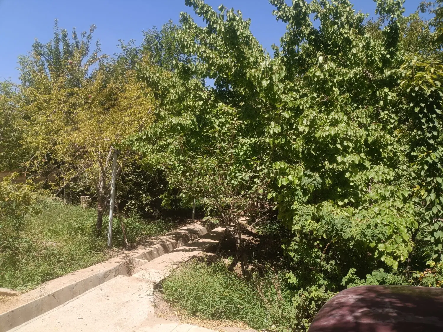 خونه قدیمی