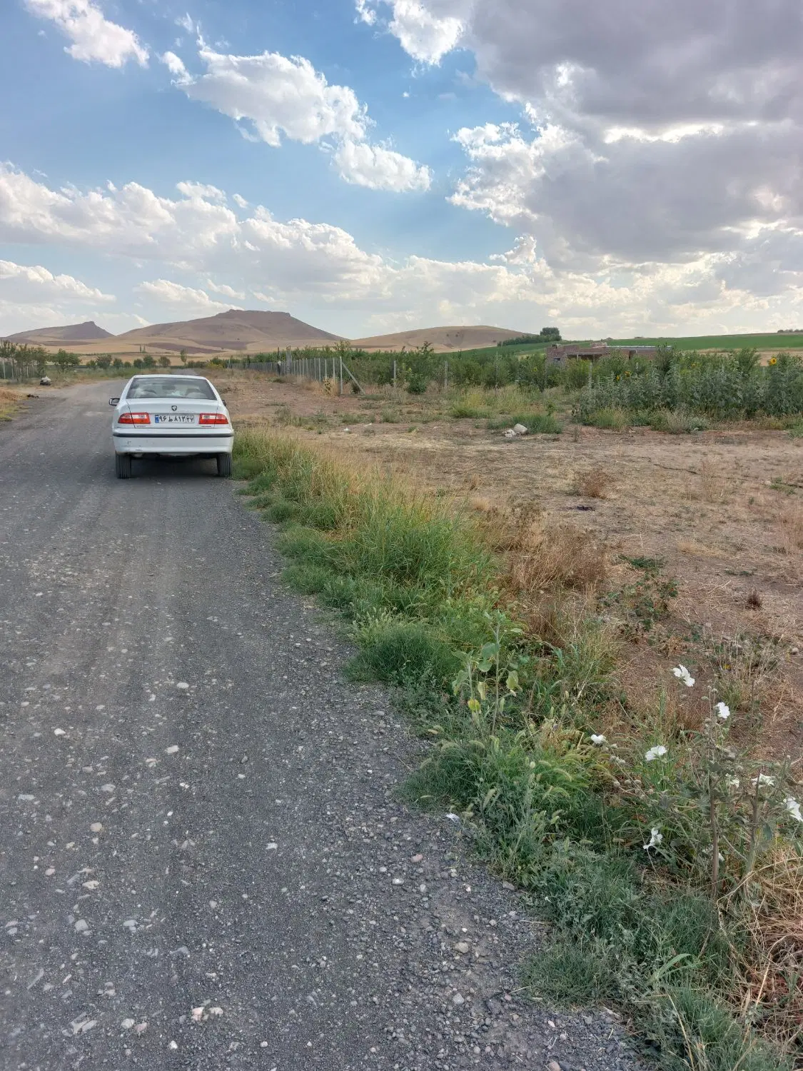 زمین خانه باغ