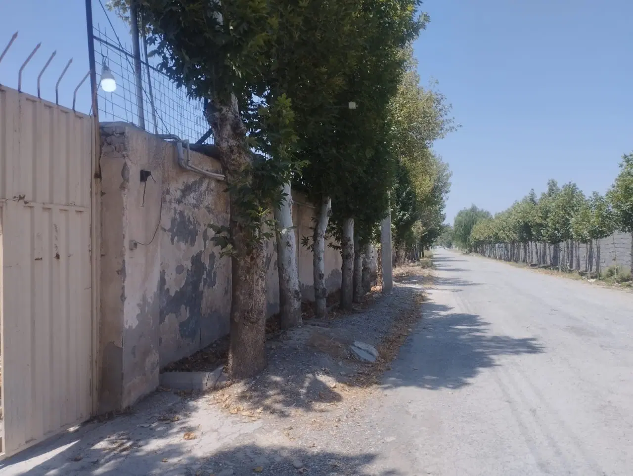 گاوداری