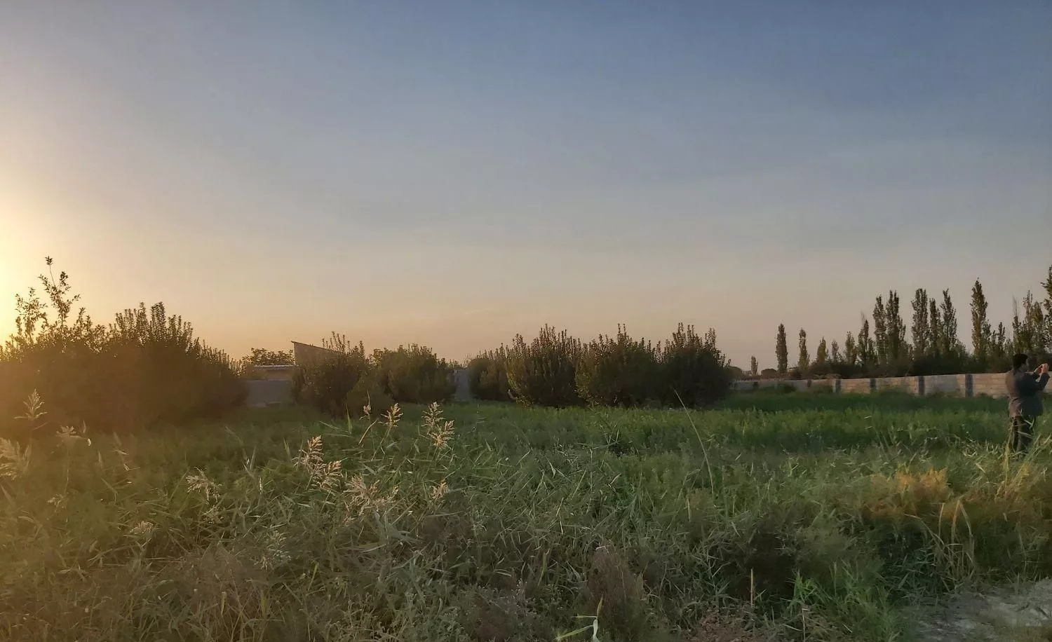 باغچه جوان در امامزاده