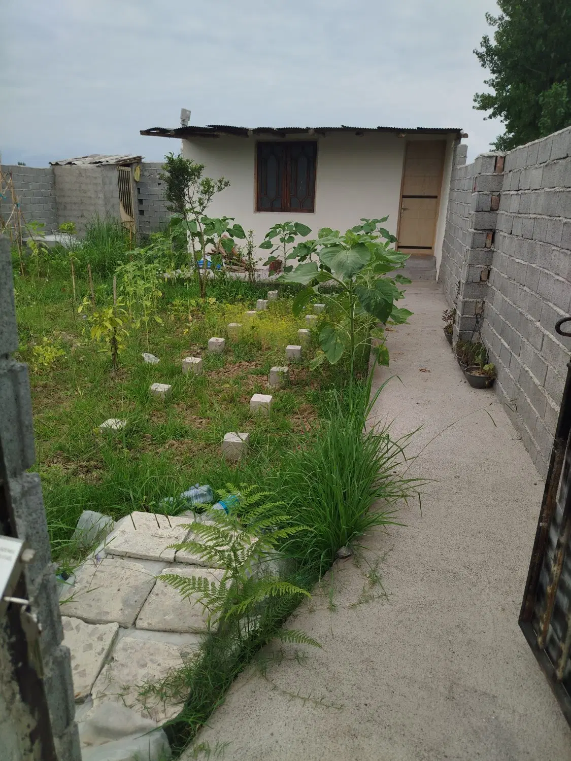 باغچه با اتاقک ۲۰متری