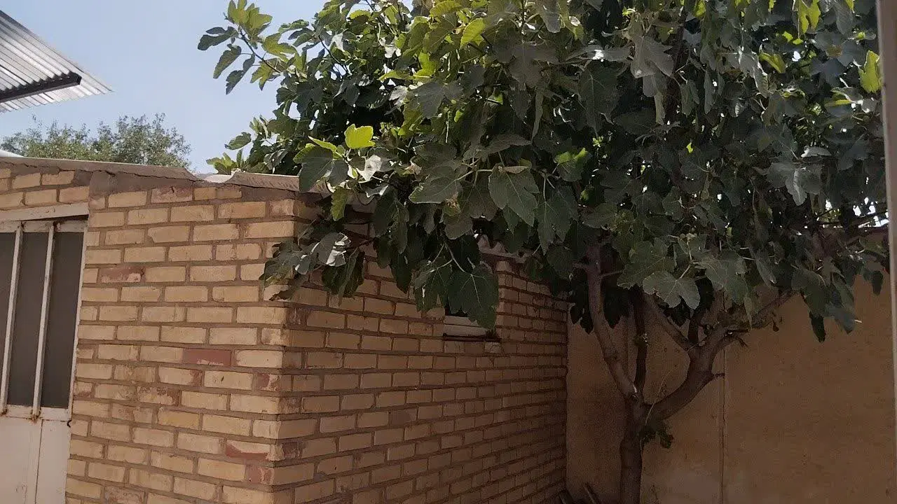 رهن و اجاره