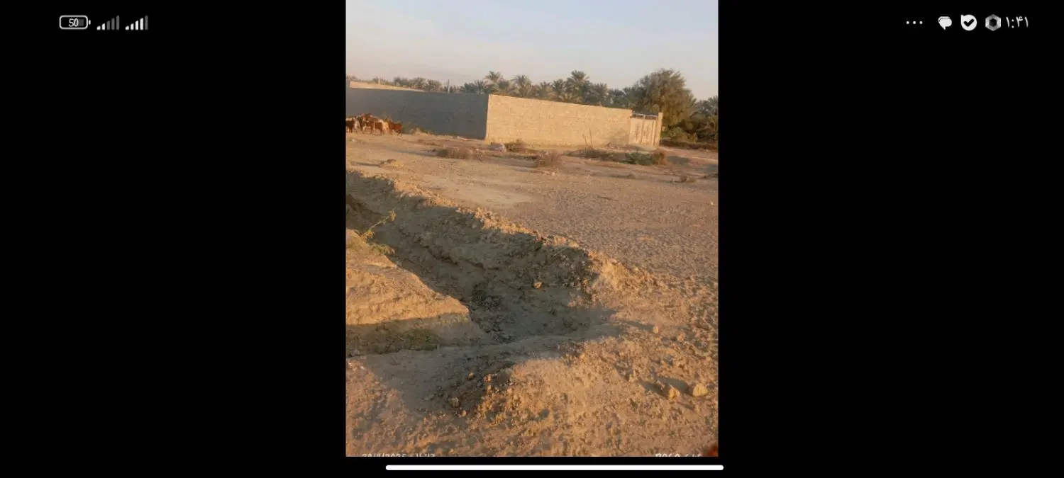 فرو ش زمین