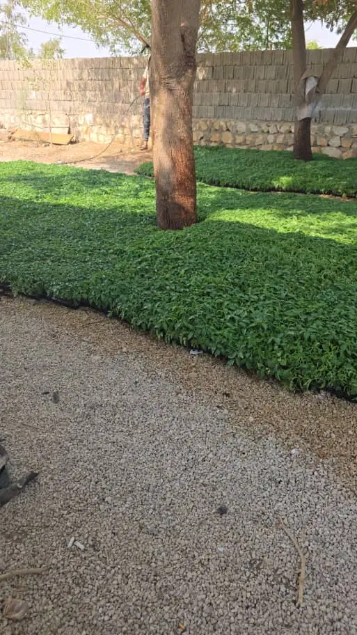 ۵ هکتار زمین کشاورزی شهرستان جم