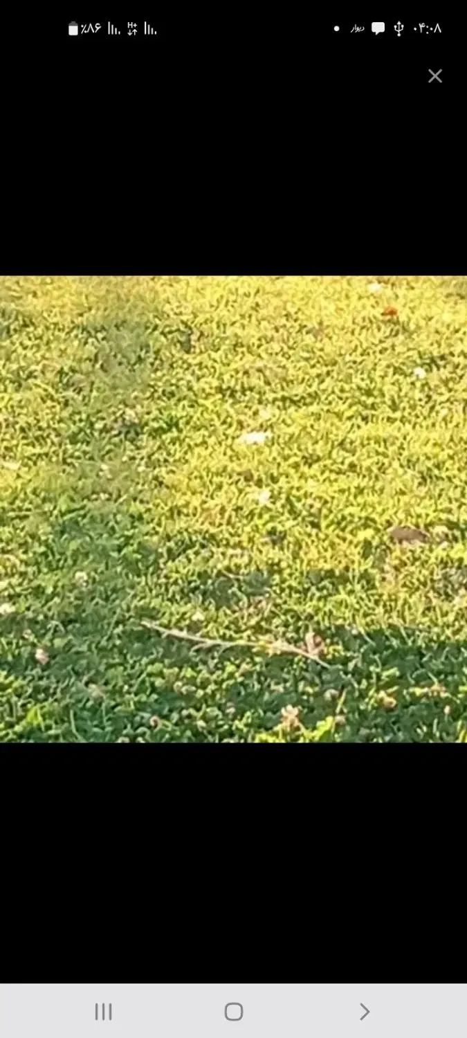 فروش زمین باغی خمه پایین