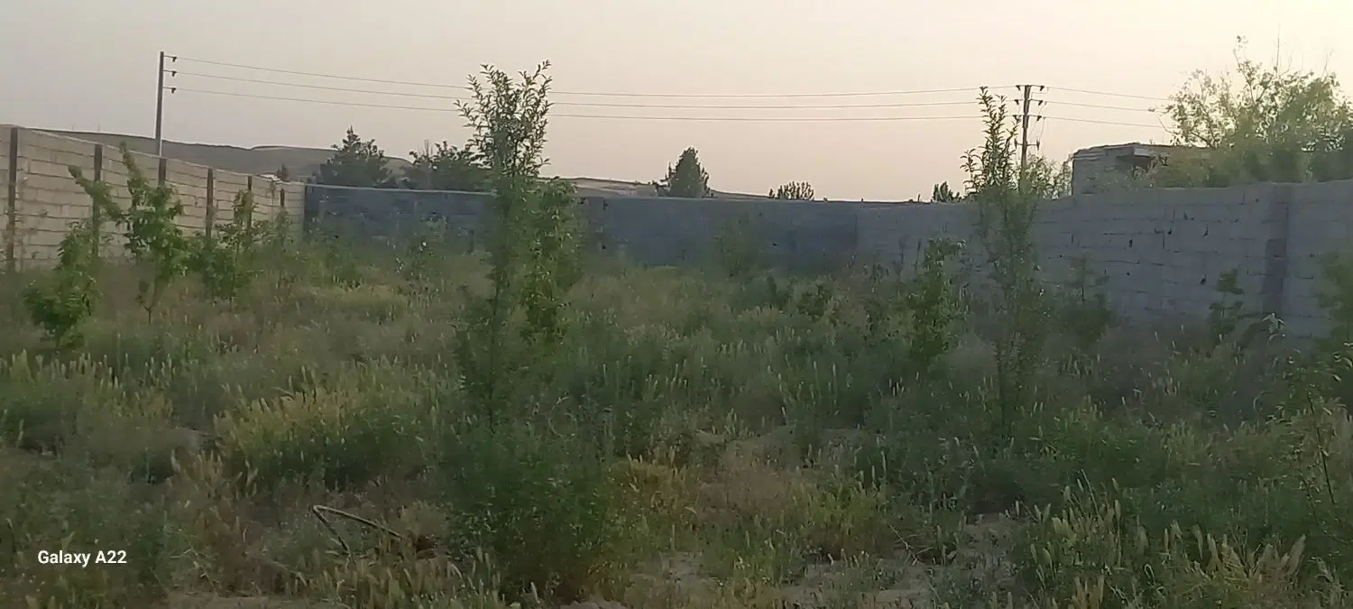 فروش باغ در روستای نجم