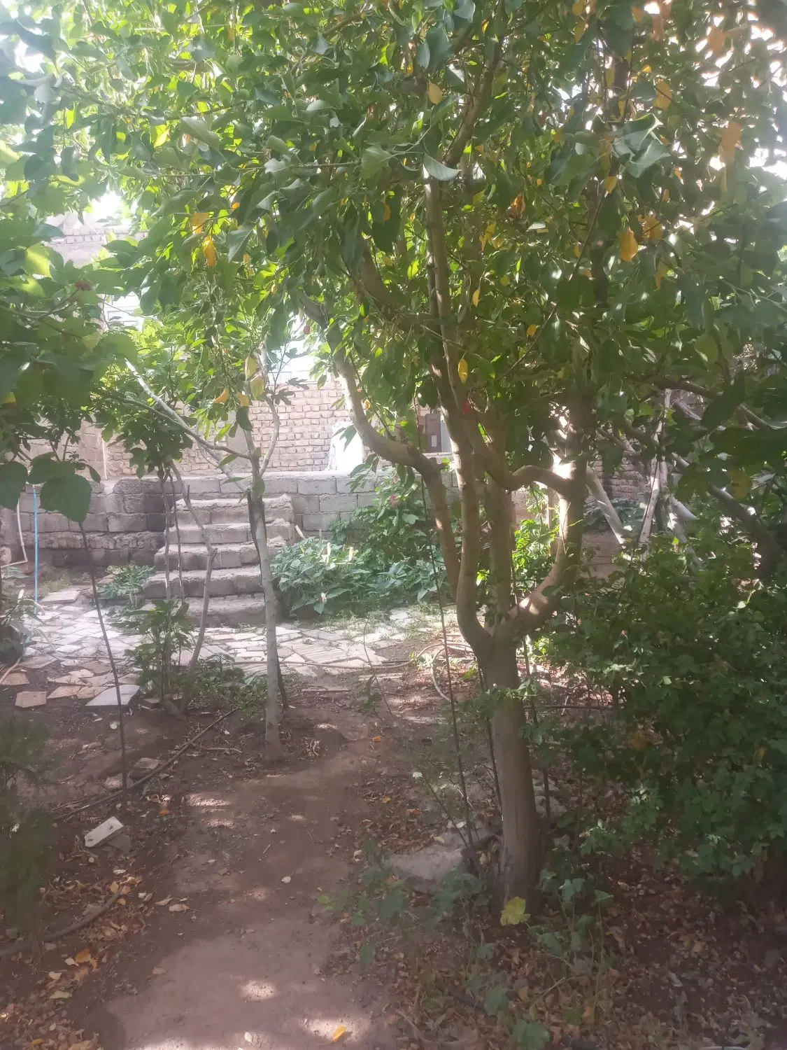 فروش یک باب منزل مسکونی شهرک روستای راوه زیر قیمت