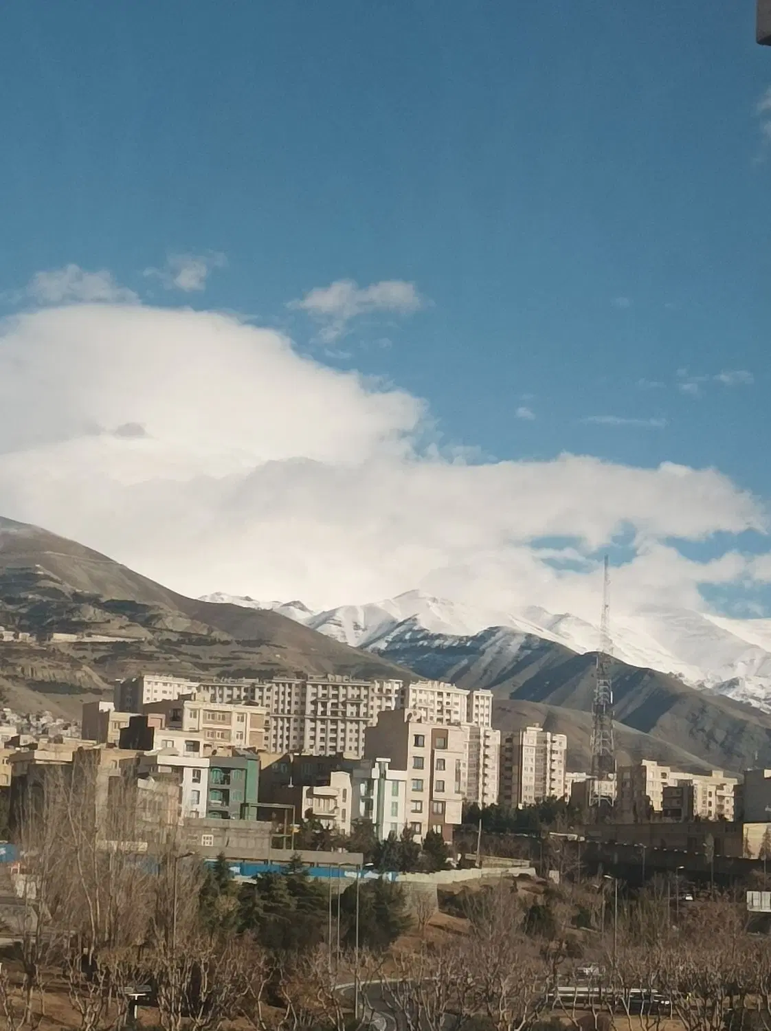 زمین کشاورزی