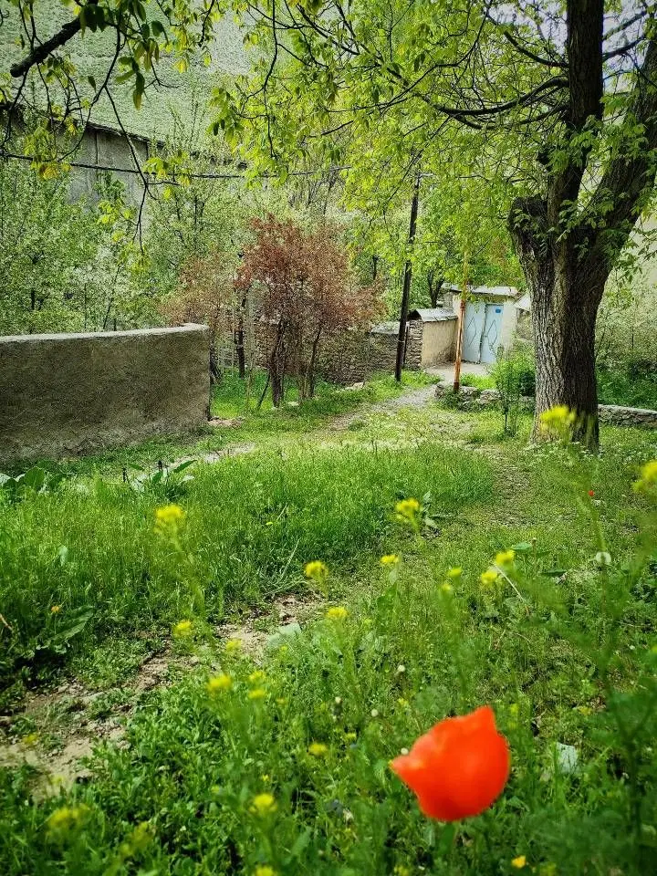 فروش زمین