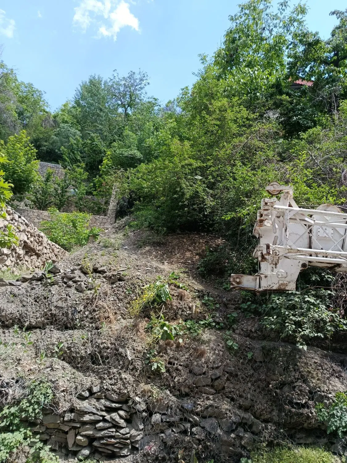 زمین ابرده