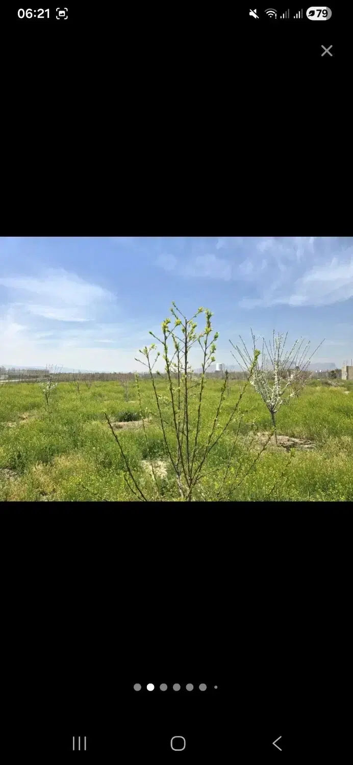 زمین باغ شهری .نقش رستم