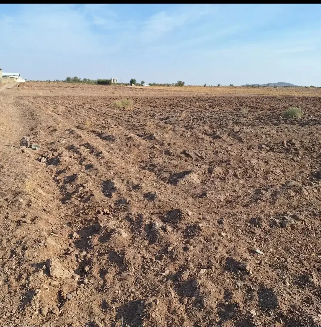 زمین کشاورزی