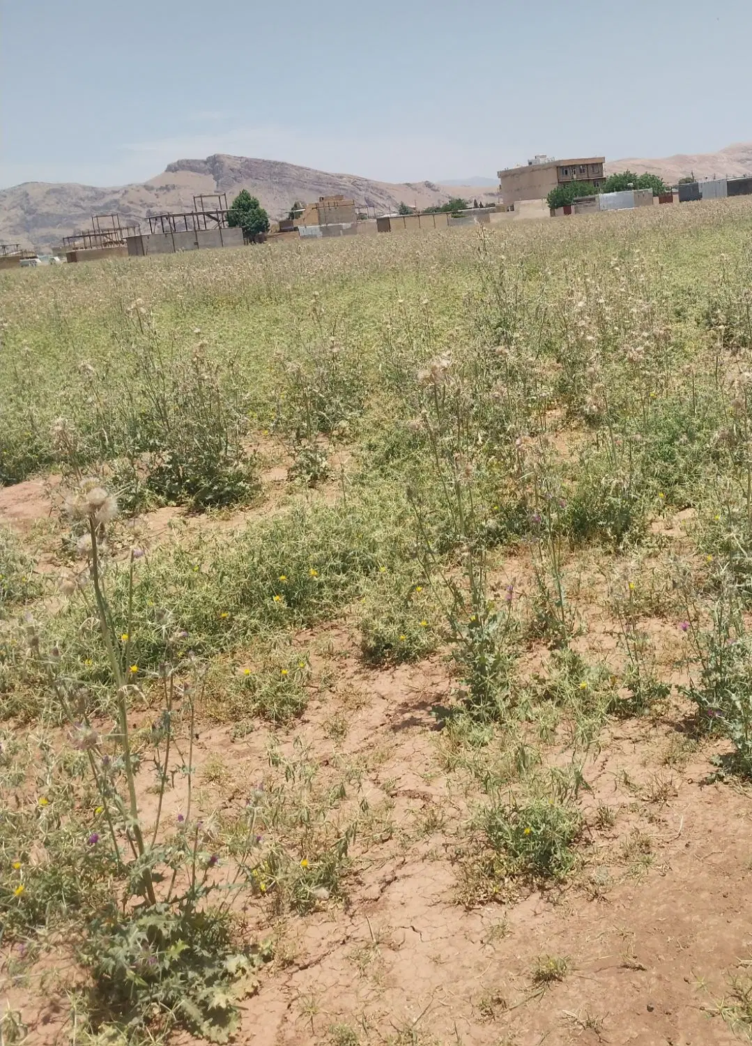 زمین تلوری افلاک ۲۶ ۱۰۰ متری