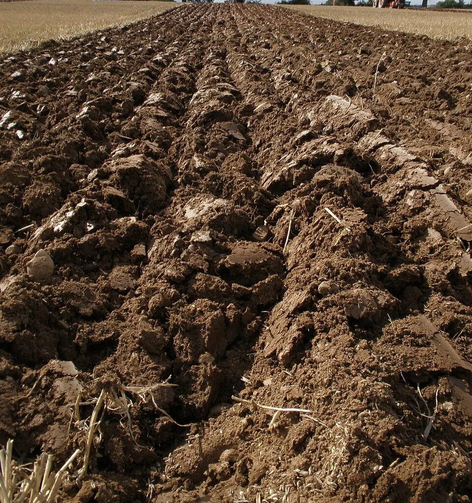 زمین کشاورزی