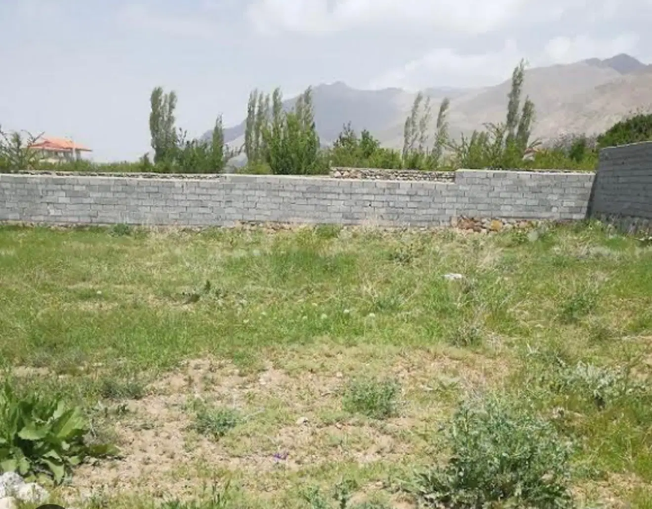 زمین با ویوی جنگل