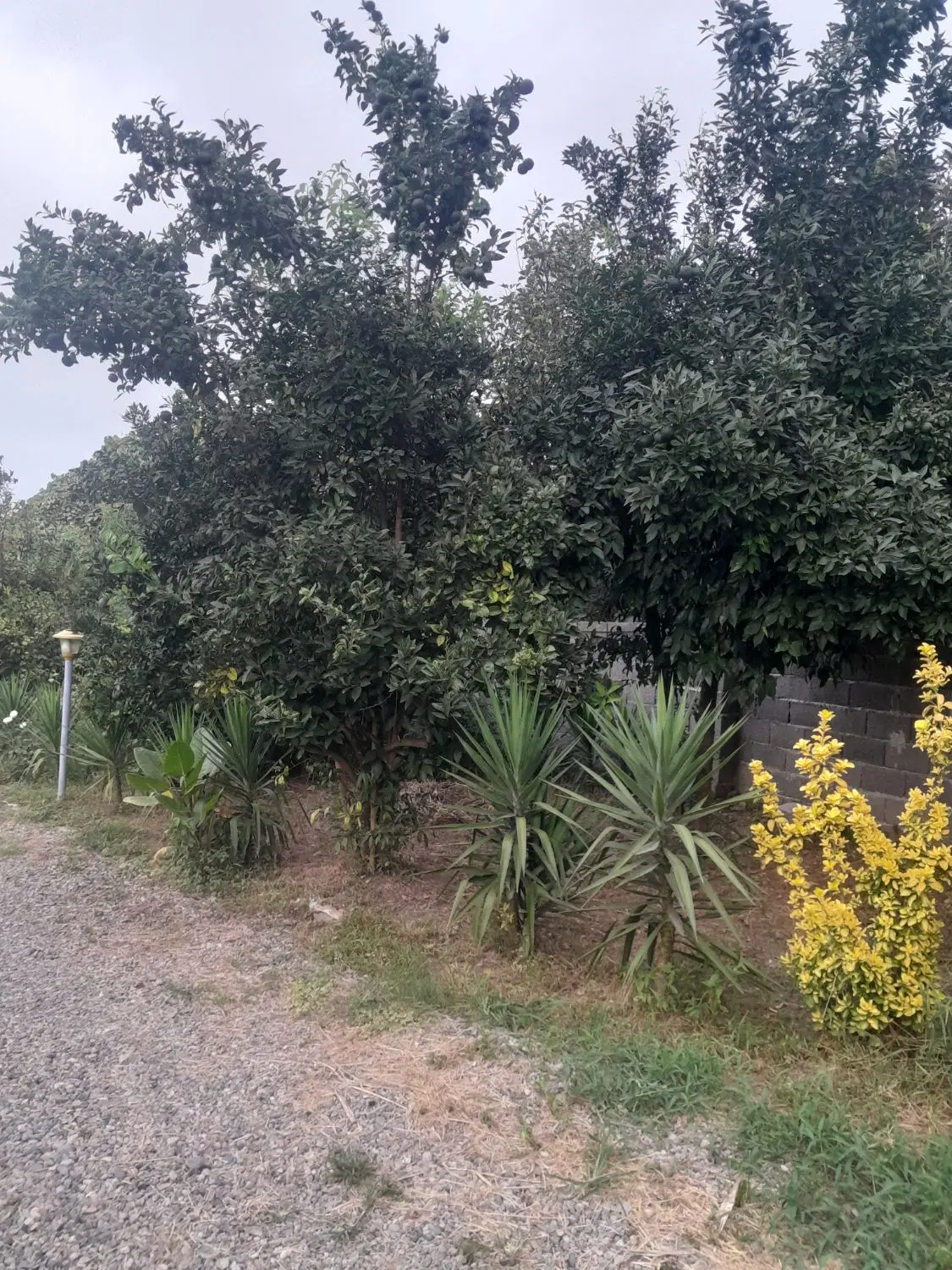 زمین فروشی